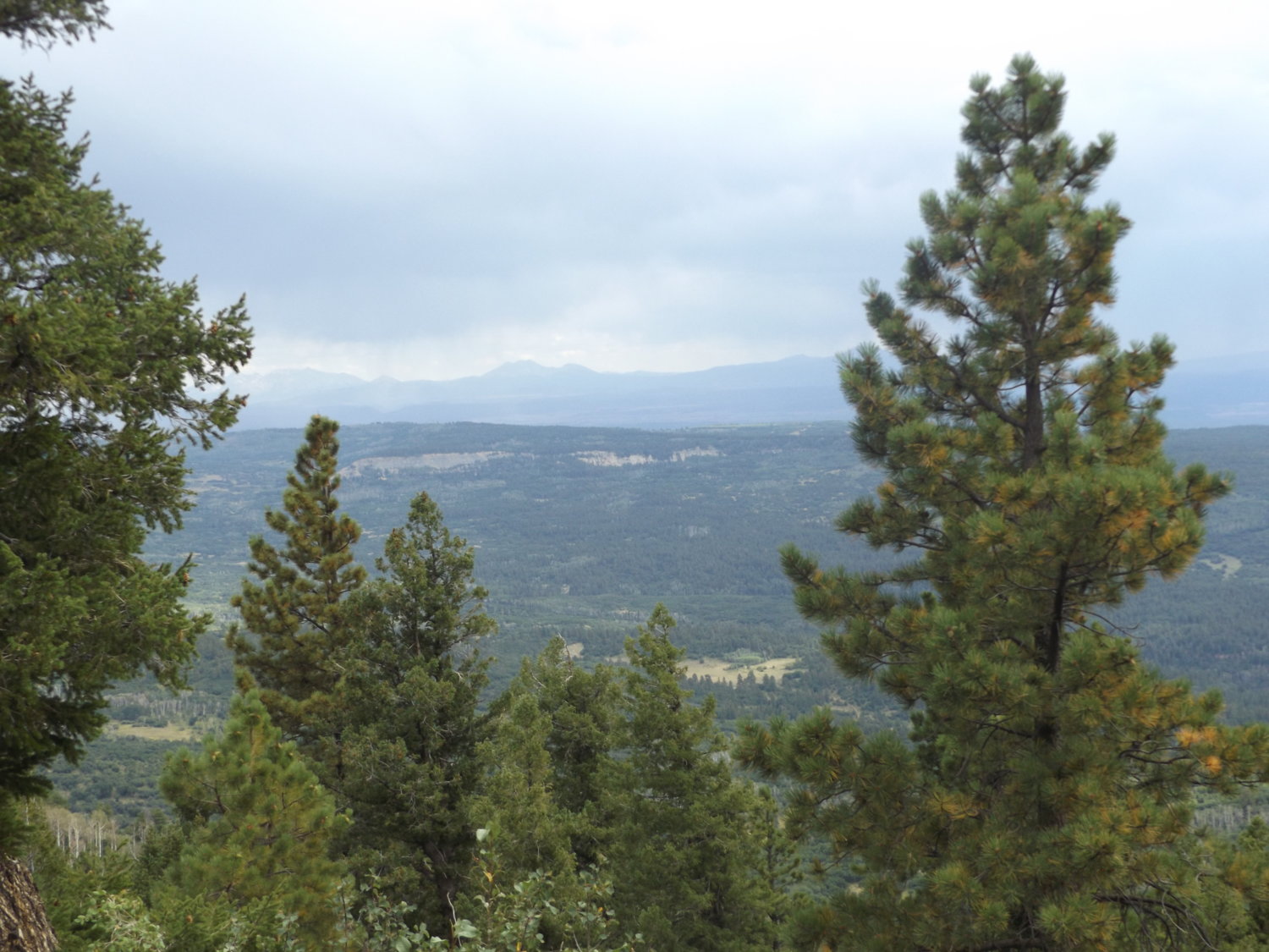 view