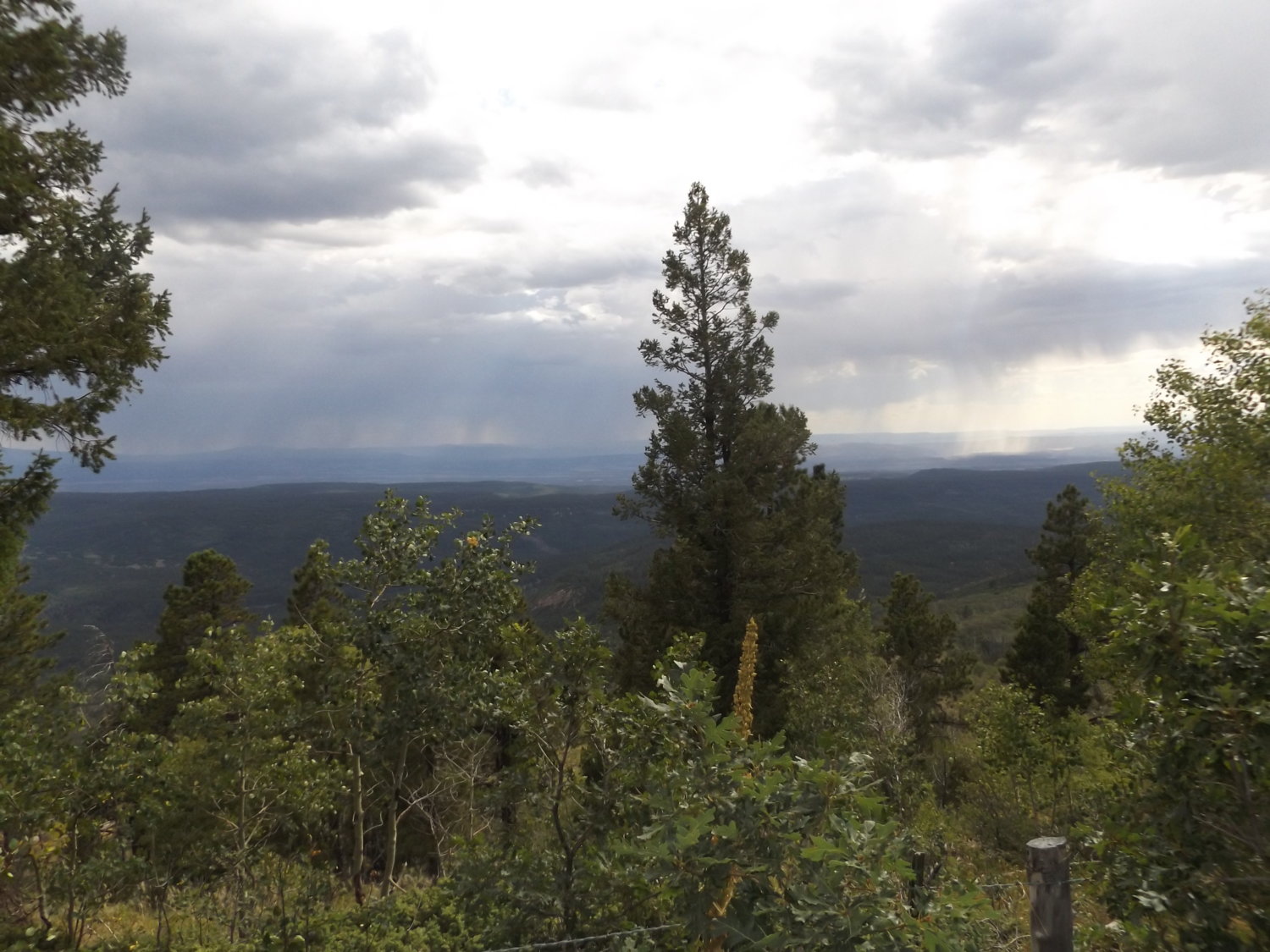view