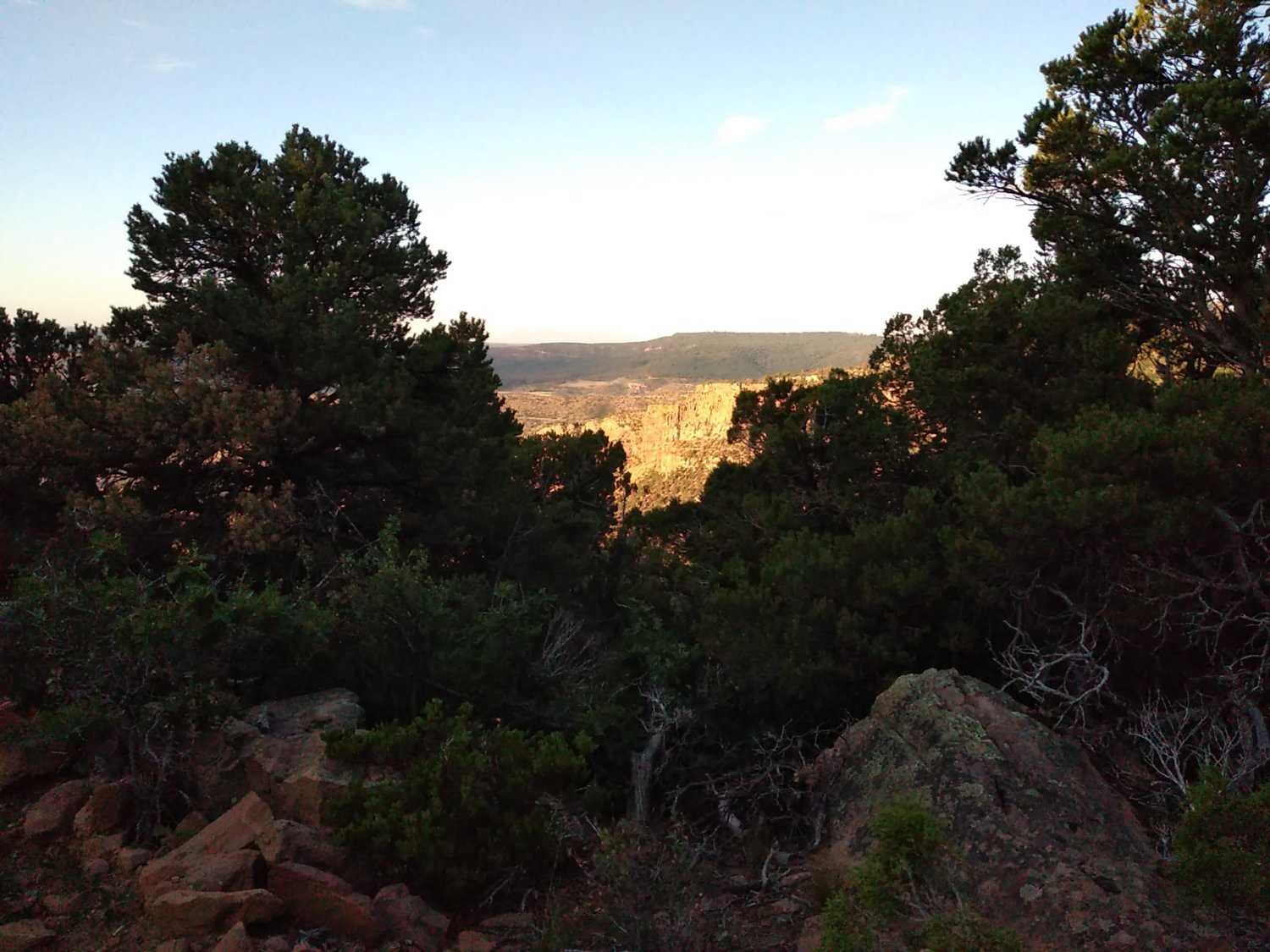 View