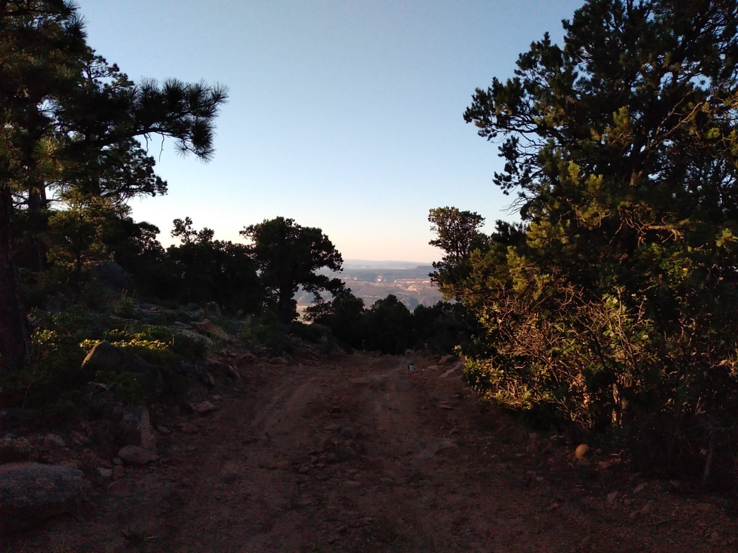 View