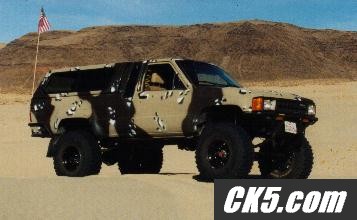 what I want the paint to look like