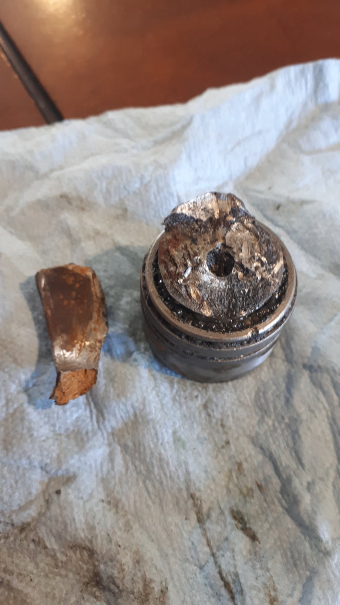 What parts i found in the snow were well digested.