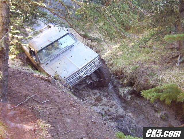 wheelin_263