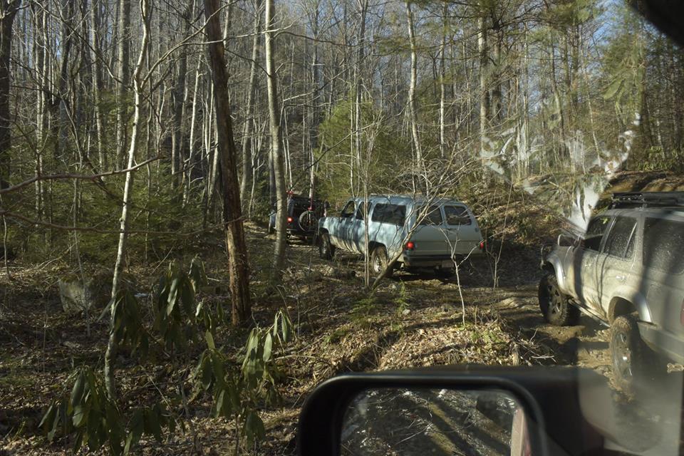 Winter Safari 2016