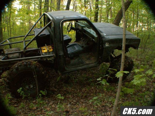 woods9