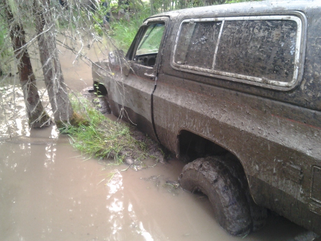 Ymmmm......mud!
