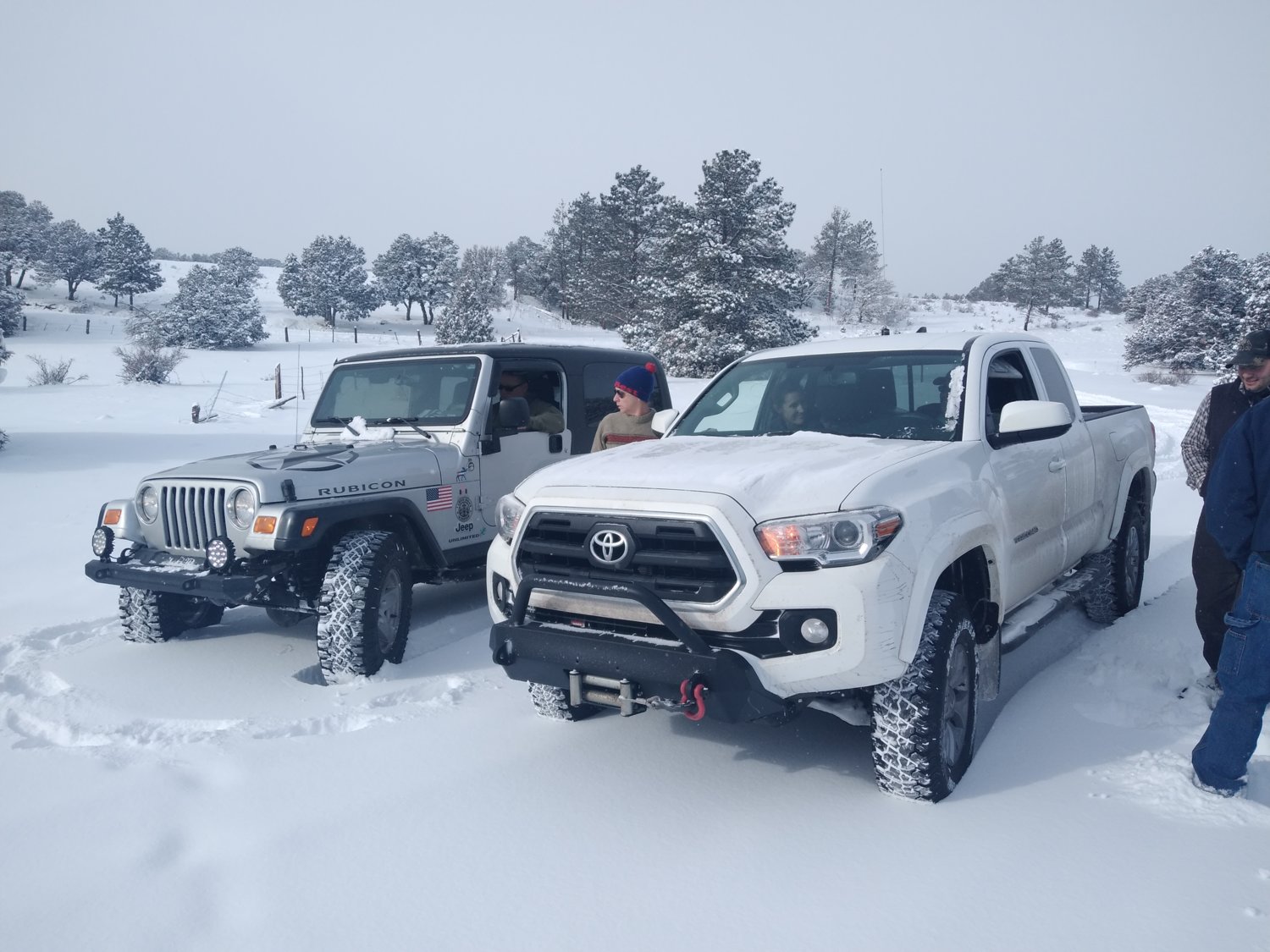 Yota and lj