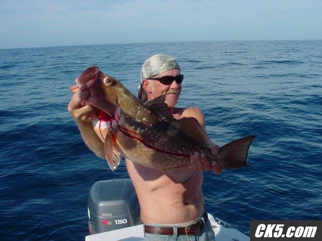 You say Grouper?