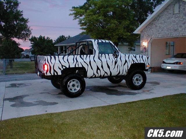 zebra bedliner stripes