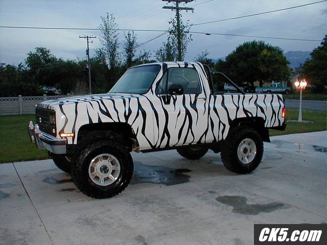 zebra bedliner stripes