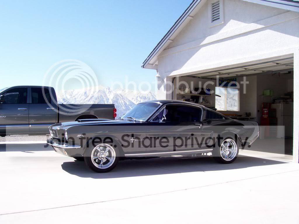carpics107358.jpg