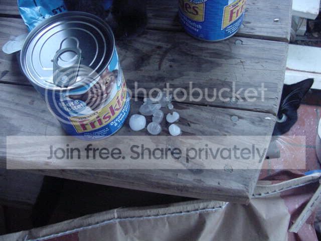 hail2.jpg