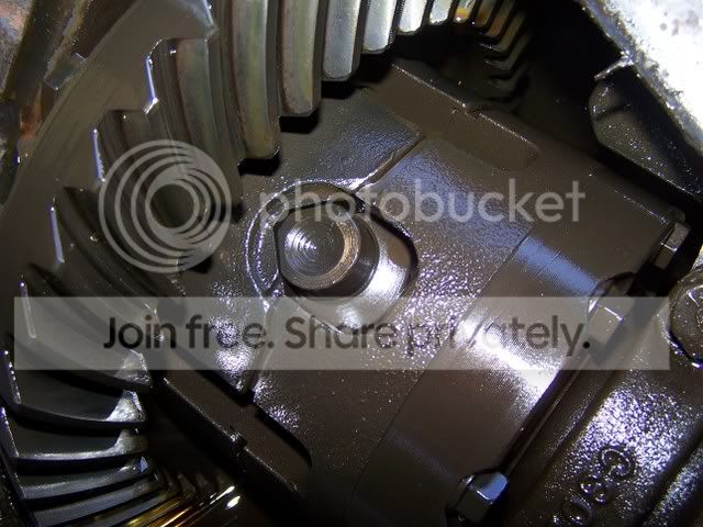 pics258.jpg