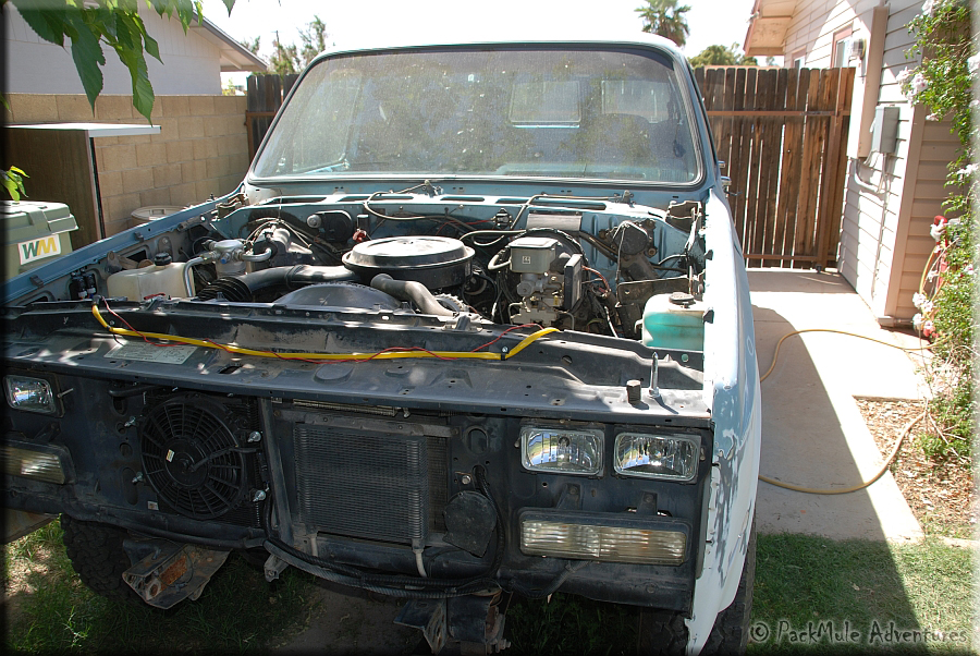 mulebody-0005.jpg