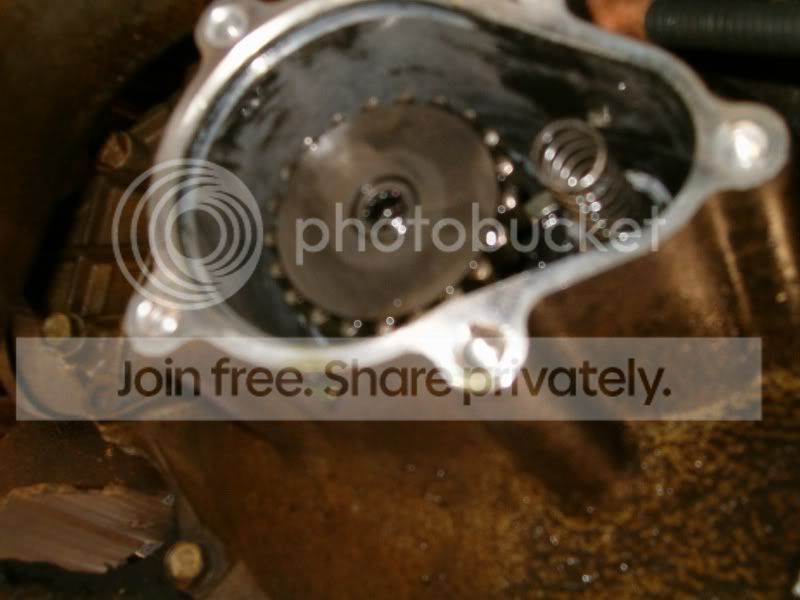 HPIM3549800x600.jpg