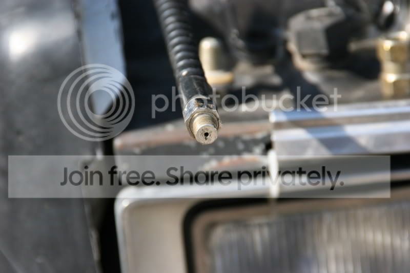 blueberryphotos002.jpg
