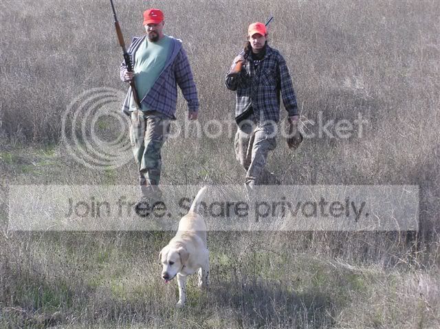 PheasantHuntin.jpg