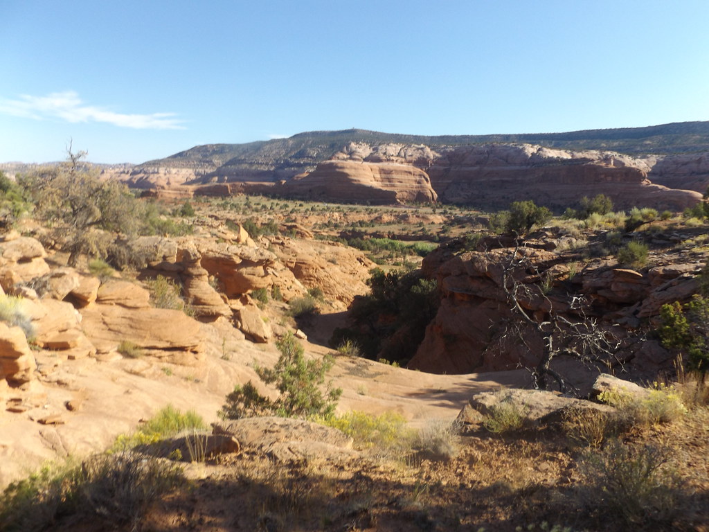 48724960542_7a5ab40786_b.jpg