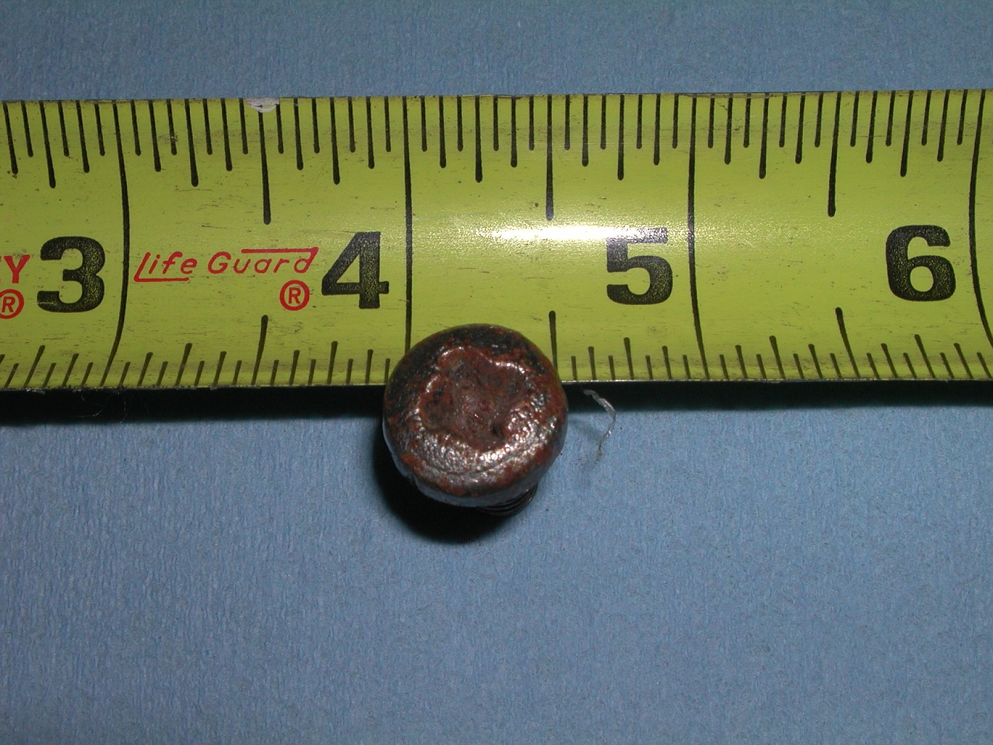 DSCN4990-vi.jpg