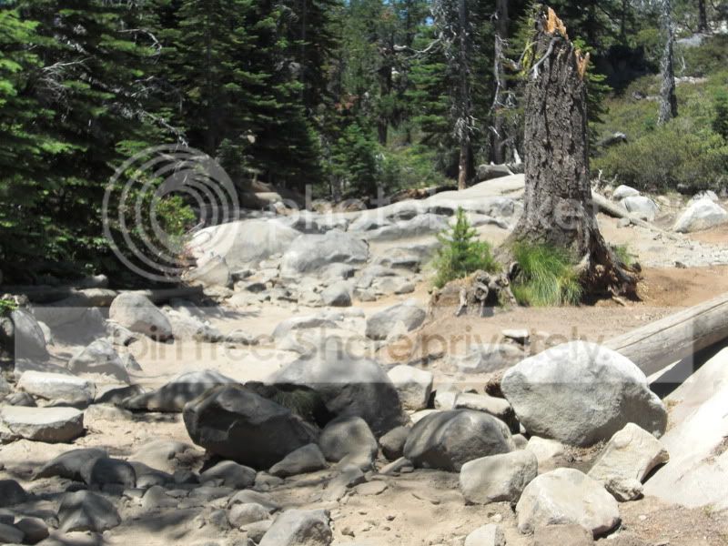 RubiconTrailJuly2012053.jpg