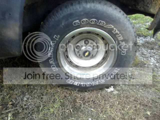 SSPX1293.jpg
