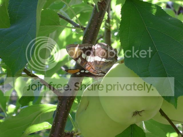 DSC04182.jpg