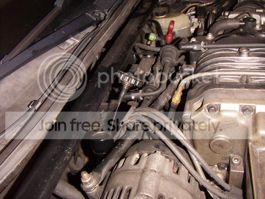 PICT0205.jpg