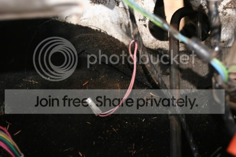 thesepics011.jpg