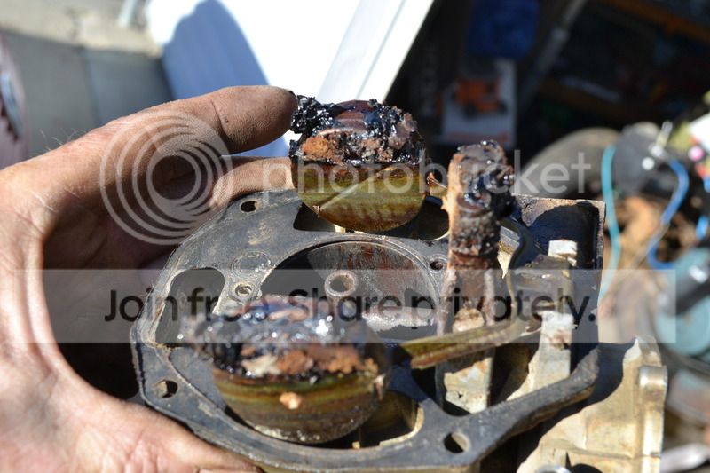 DSC_0003_zpsqpmbckab.jpg