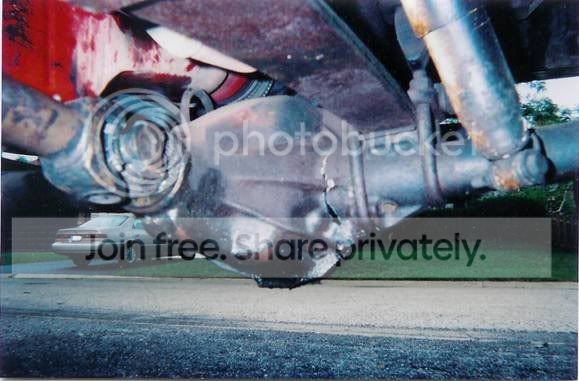 dana44carnage.jpg