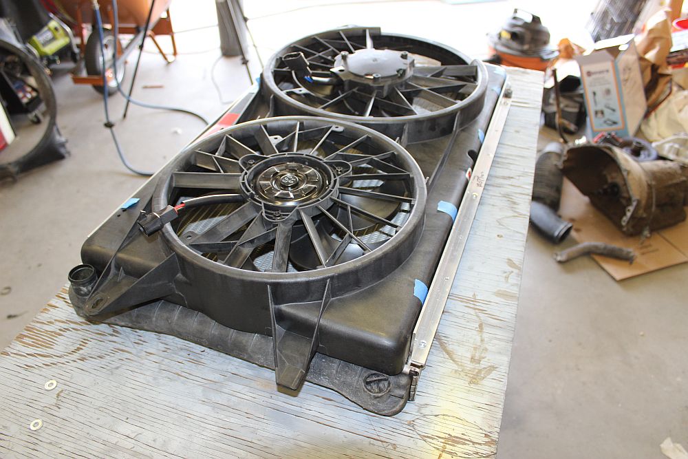 fanu-015.jpg