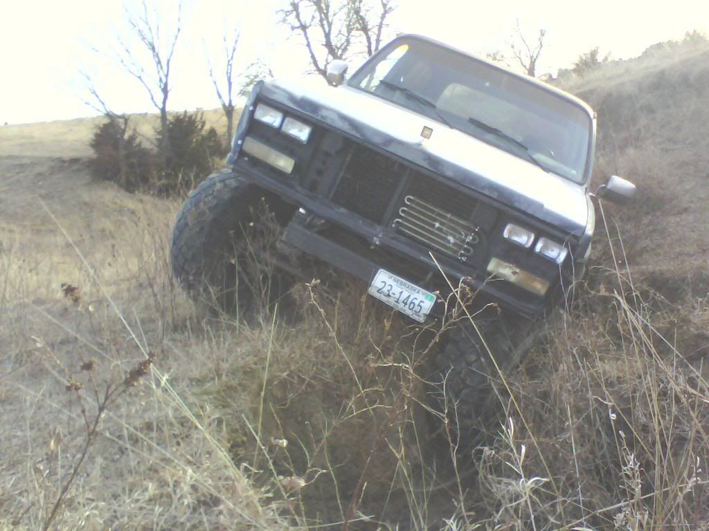 IMG0138A.jpg