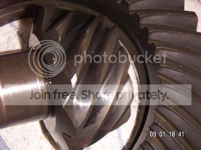 PICT0181.jpg