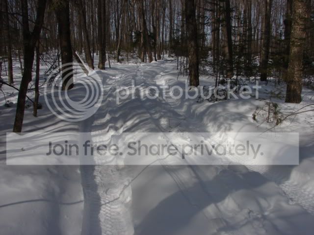 DSC01590.jpg