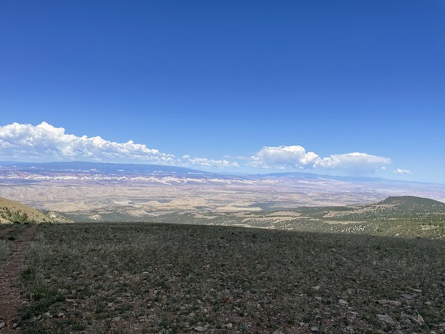 52191685696_3143b179f9_z.jpg