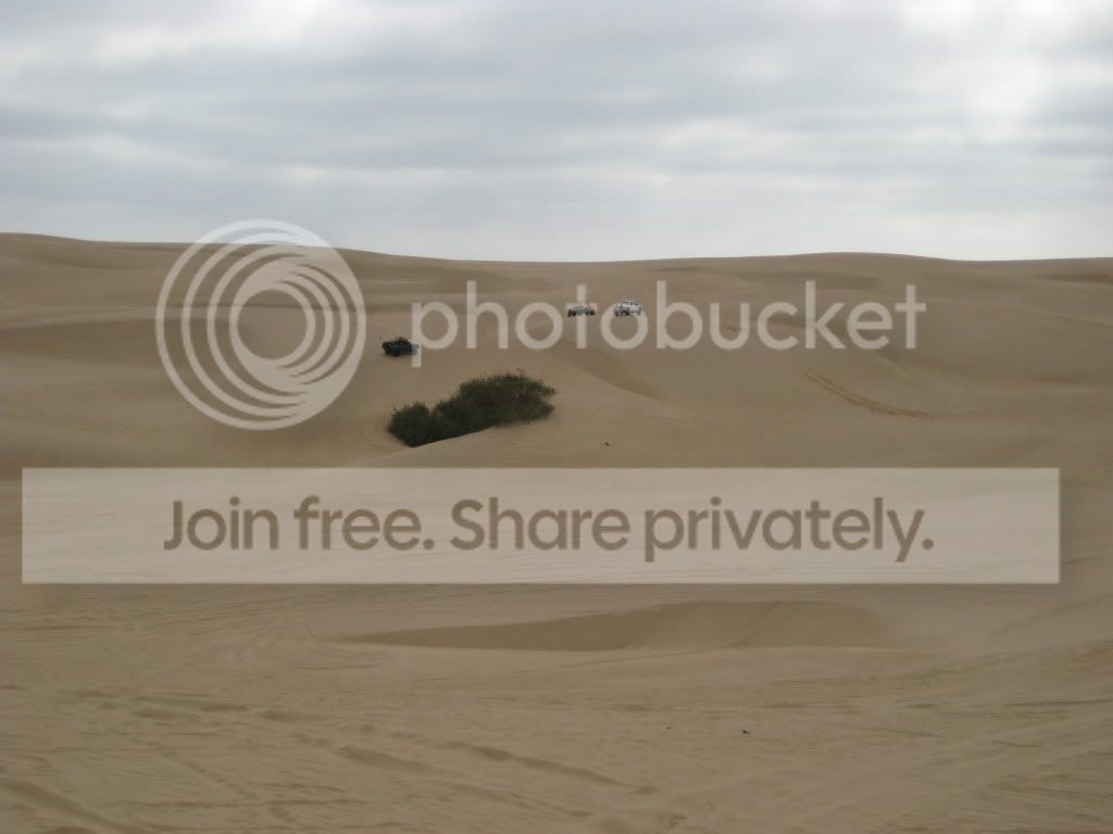 IMG_1892.jpg