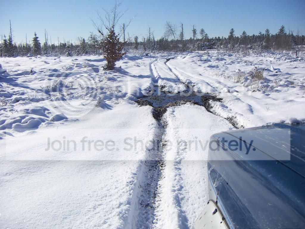 PICT0942.jpg