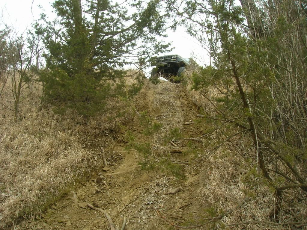 Picture006-1.jpg