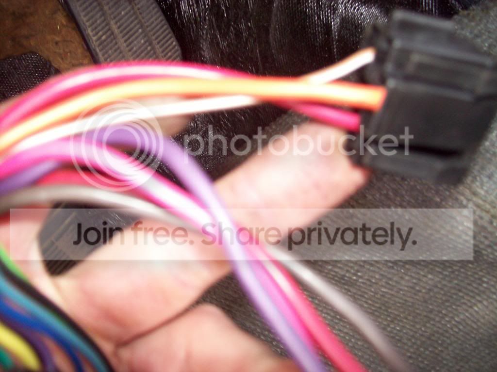 100_1176.jpg