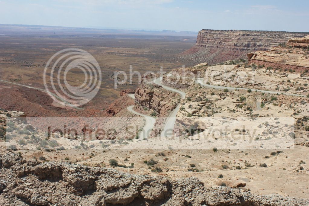 IMG_5226.jpg
