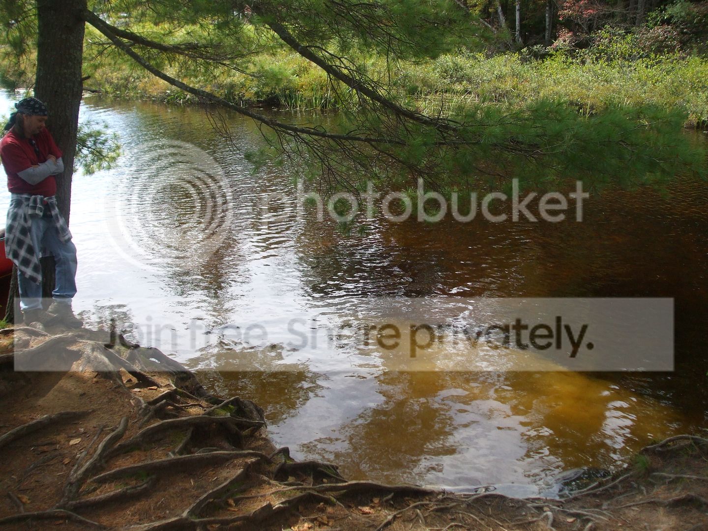 018_zps3553d7be.jpg