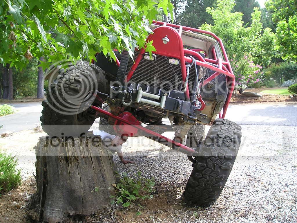 stump4.jpg