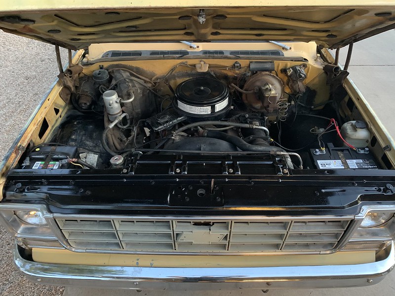 49787230727_bb8059d7d3_c.jpg