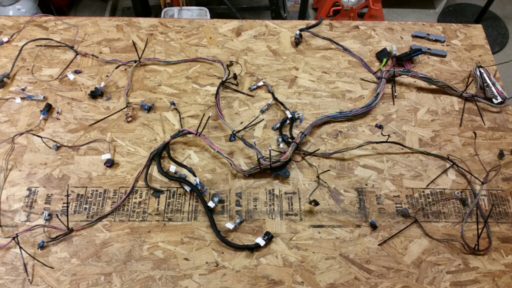Harness2.jpg
