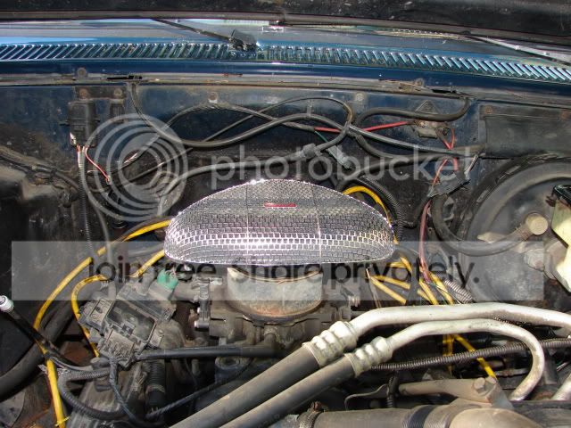 DSC01335.jpg