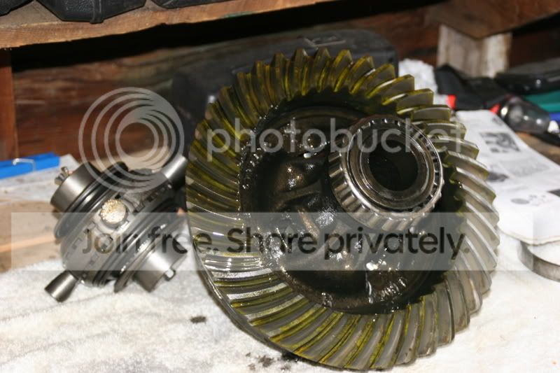 detroitinstall013.jpg