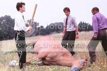 beating_a_dead_horse.jpg