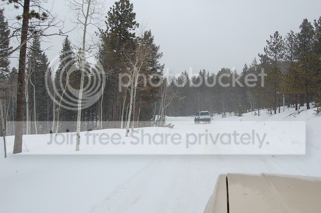 DSC_0087.jpg