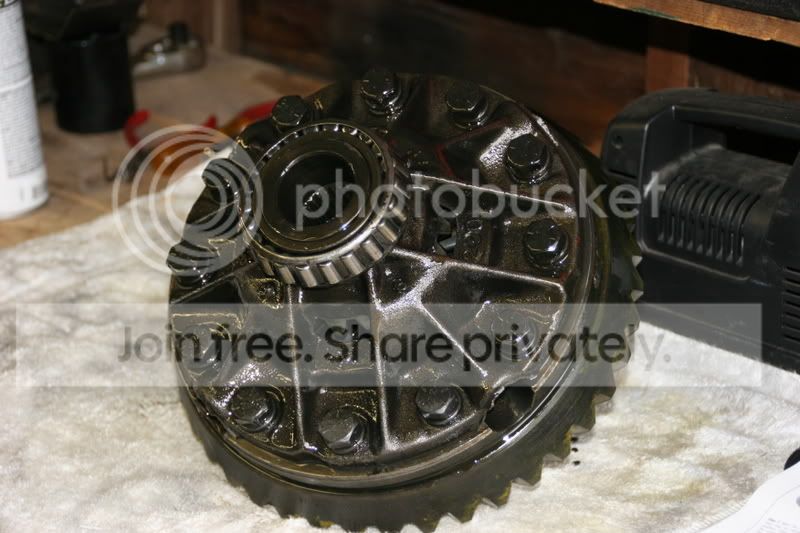 detroitinstall015.jpg