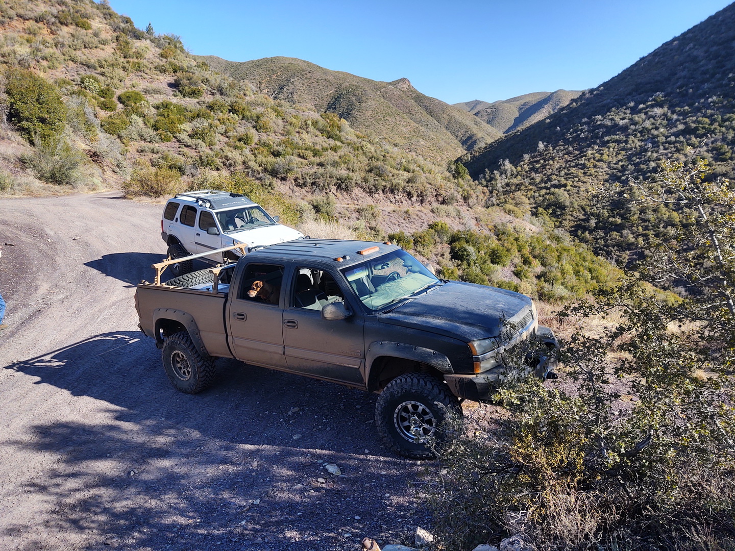 IMG_20210206_101254471_HDR.jpg